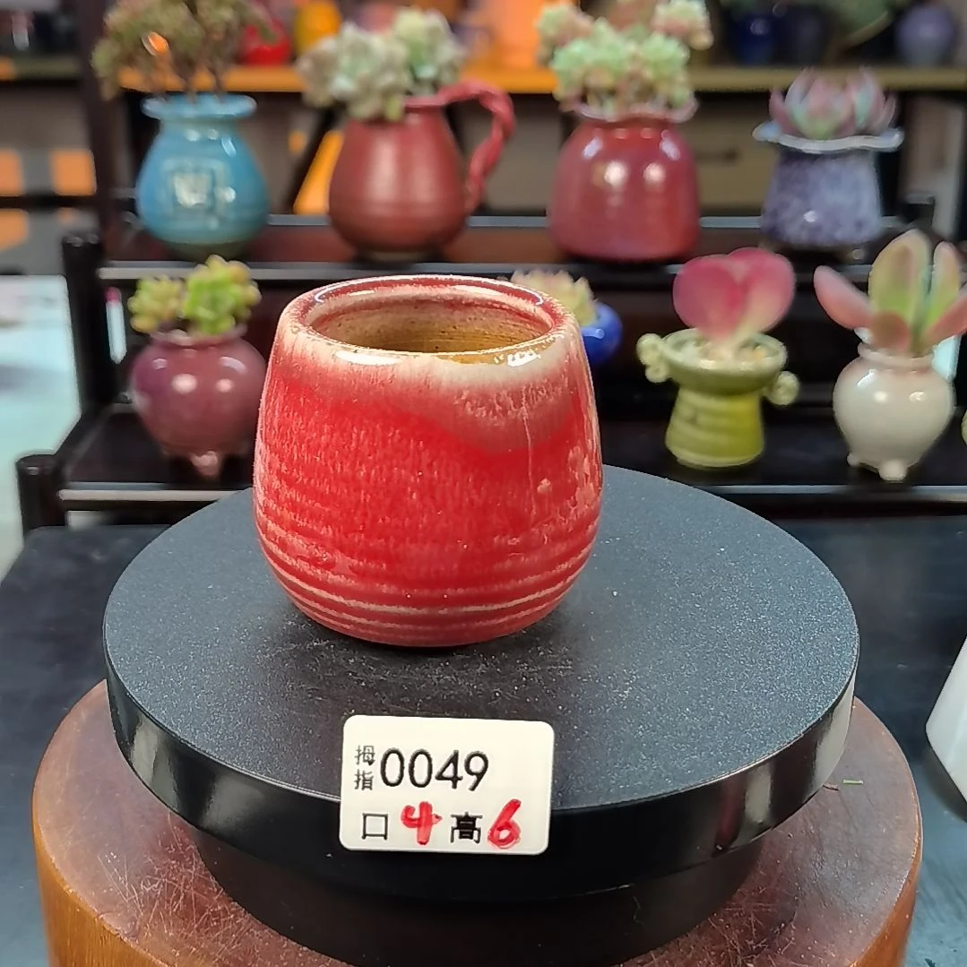 拇指多肉花盆编号0049
