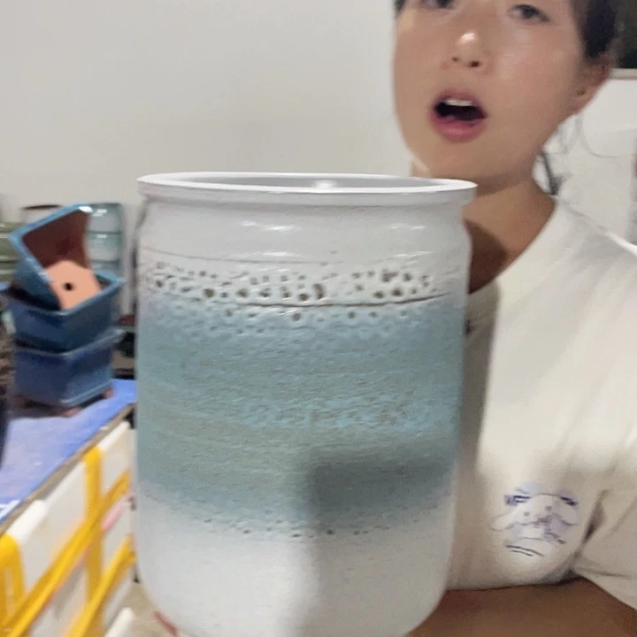 正品红陶一个20/30