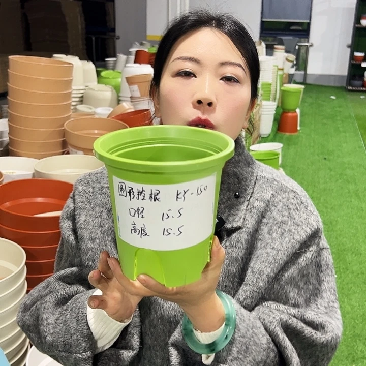 正品圆控口15高15果绿10只无托