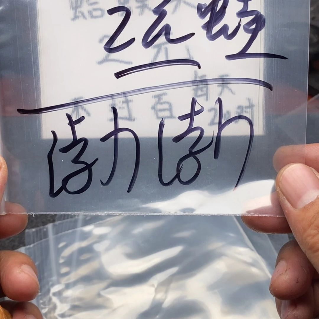 渤*?Tidsittidysigdidy