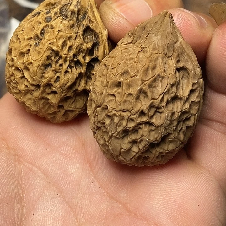 文玩核桃把件云南铁核桃48