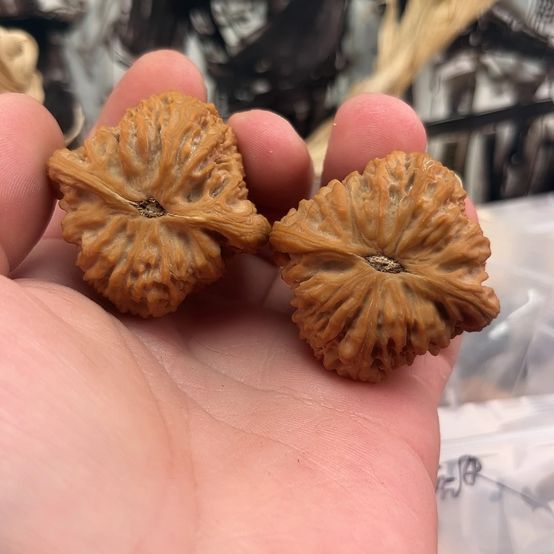 不***水文玩核桃把件南疆石43尺