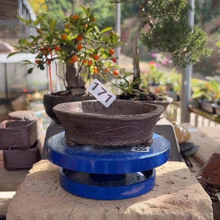 11.5x3/////////171////////花盆