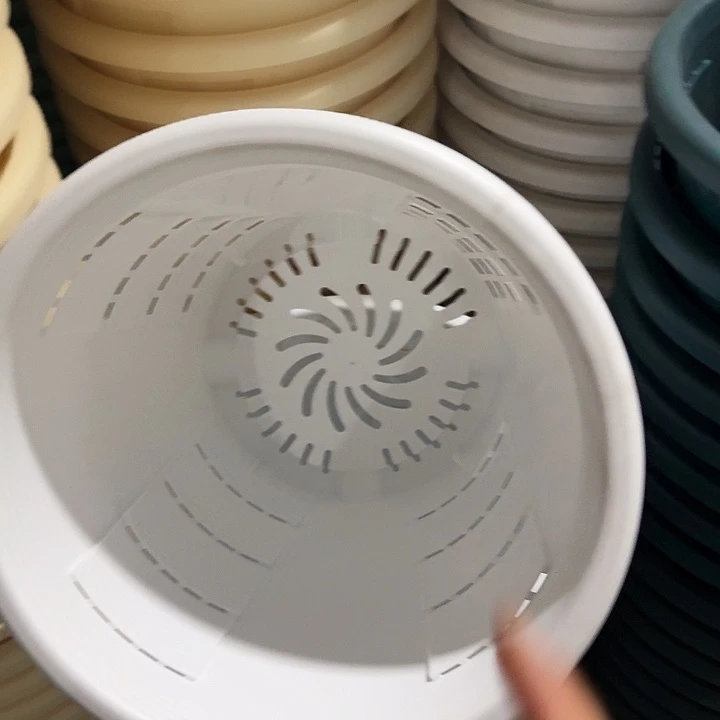 测5纯白无托5个特价