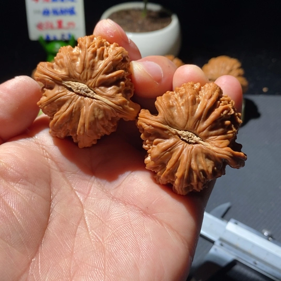 吊坠文玩核桃44白狮子