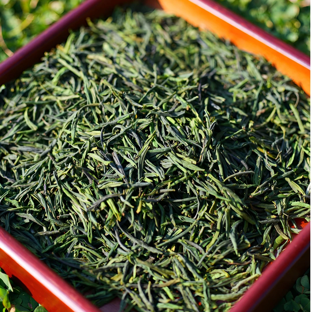 2025高山小叶六安瓜片高端兰香A4