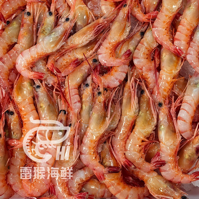 [纯野生] 红虾 南海纯野生甜虾 可刺身生腌 阳江中心渔港直发