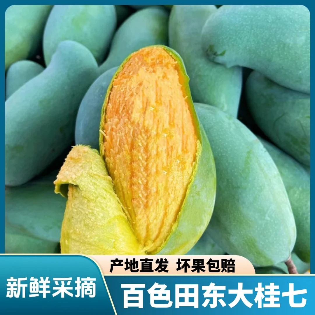 广西百色田东桂七芒果新鲜热带当季水果现摘香甜芒果整箱包邮