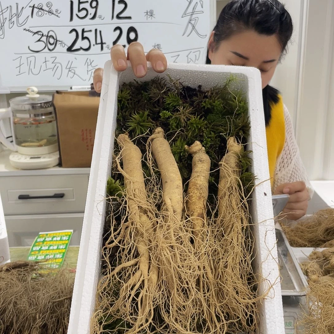 中国大陆长白山新鲜247