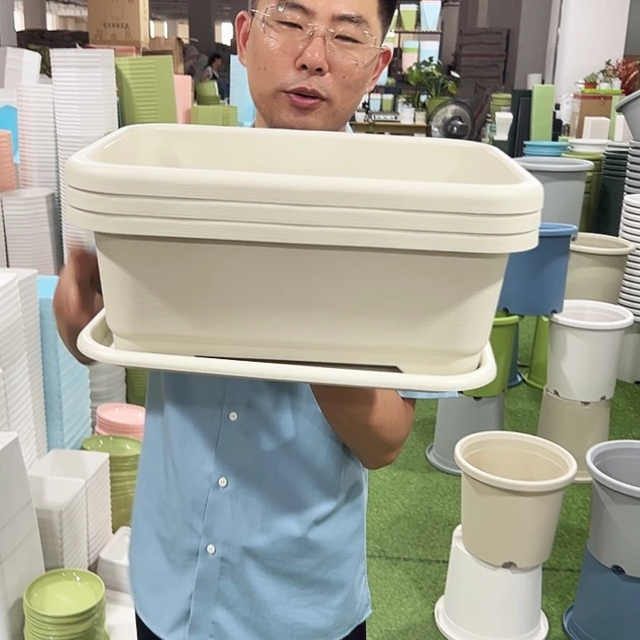 宽体小菜盆长38宽29高14.5米色带托3个