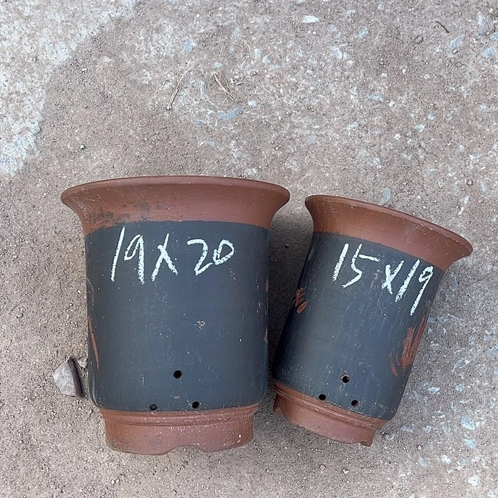 红陶紫砂艺术学院