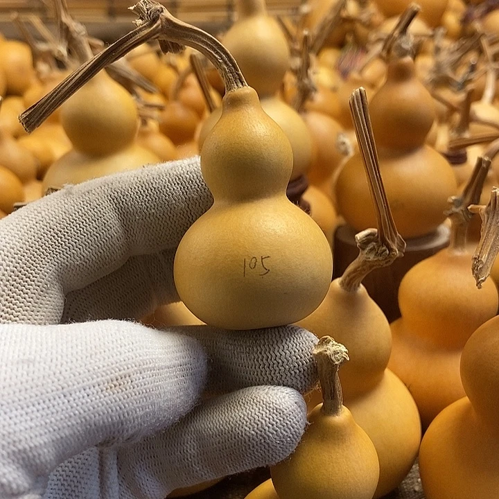 文玩葫芦 完美主义者 慎拍105