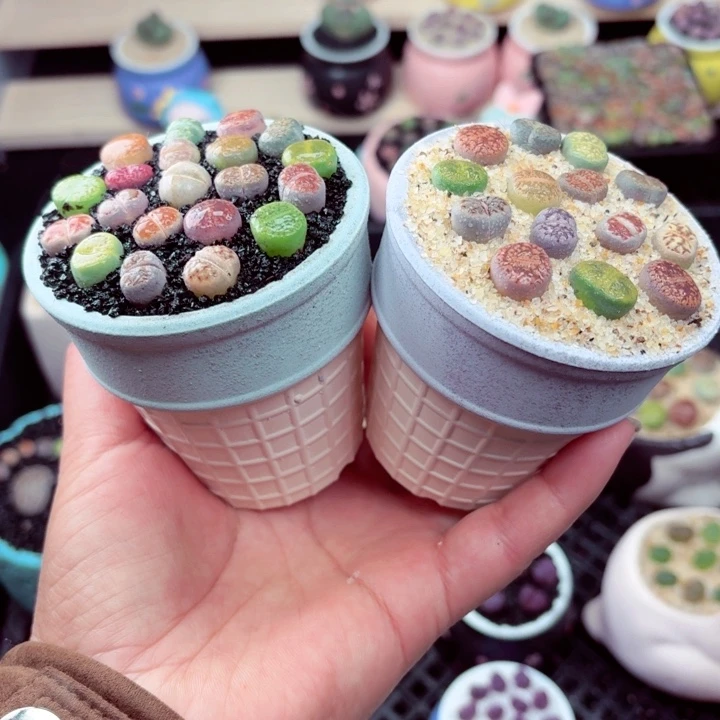 555零下地区记得拍保温箱