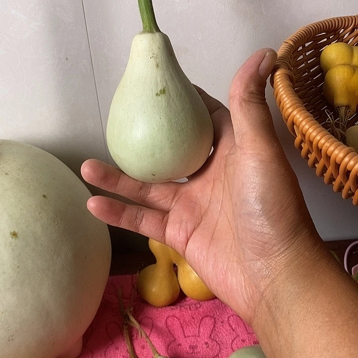 雾***i青皮葫芦手把件葫芦