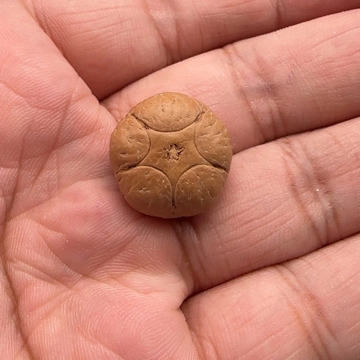 凤眼菩提吊坠尼泊尔18