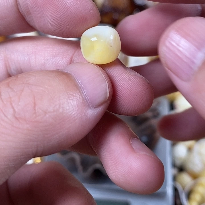 裸石琥珀未镶嵌我