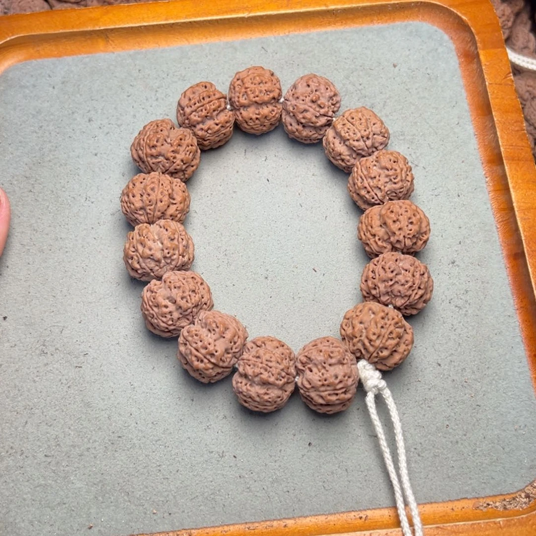 菩提33号金刚菩提满肉双龙23