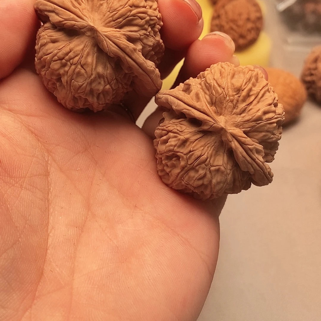 大叶紫檀（黑酸枝木类）白狮子