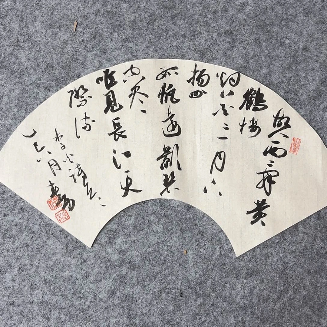 书法国展书家麻春芳45×20