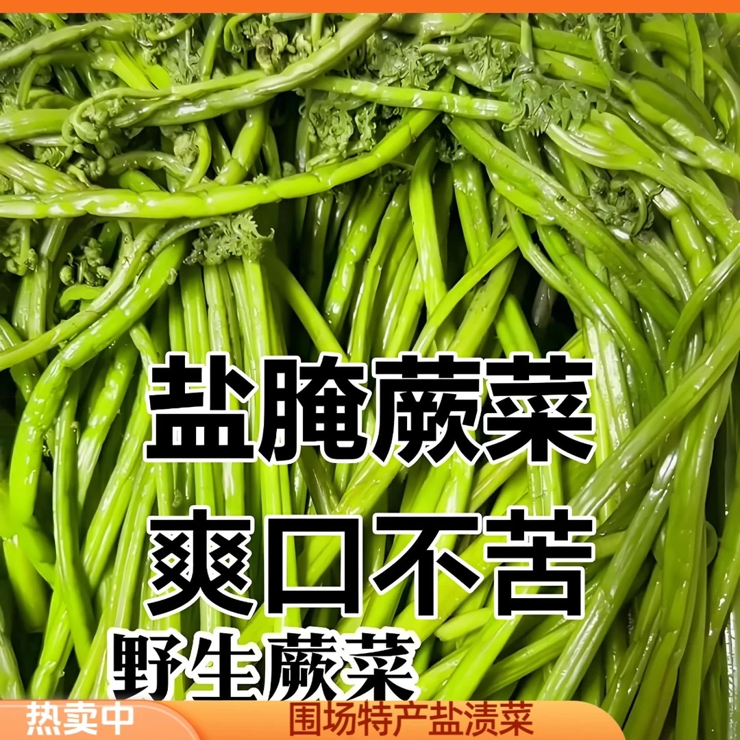 围场盐渍野生蕨菜/3斤起（非莼菜）绿色蔬菜