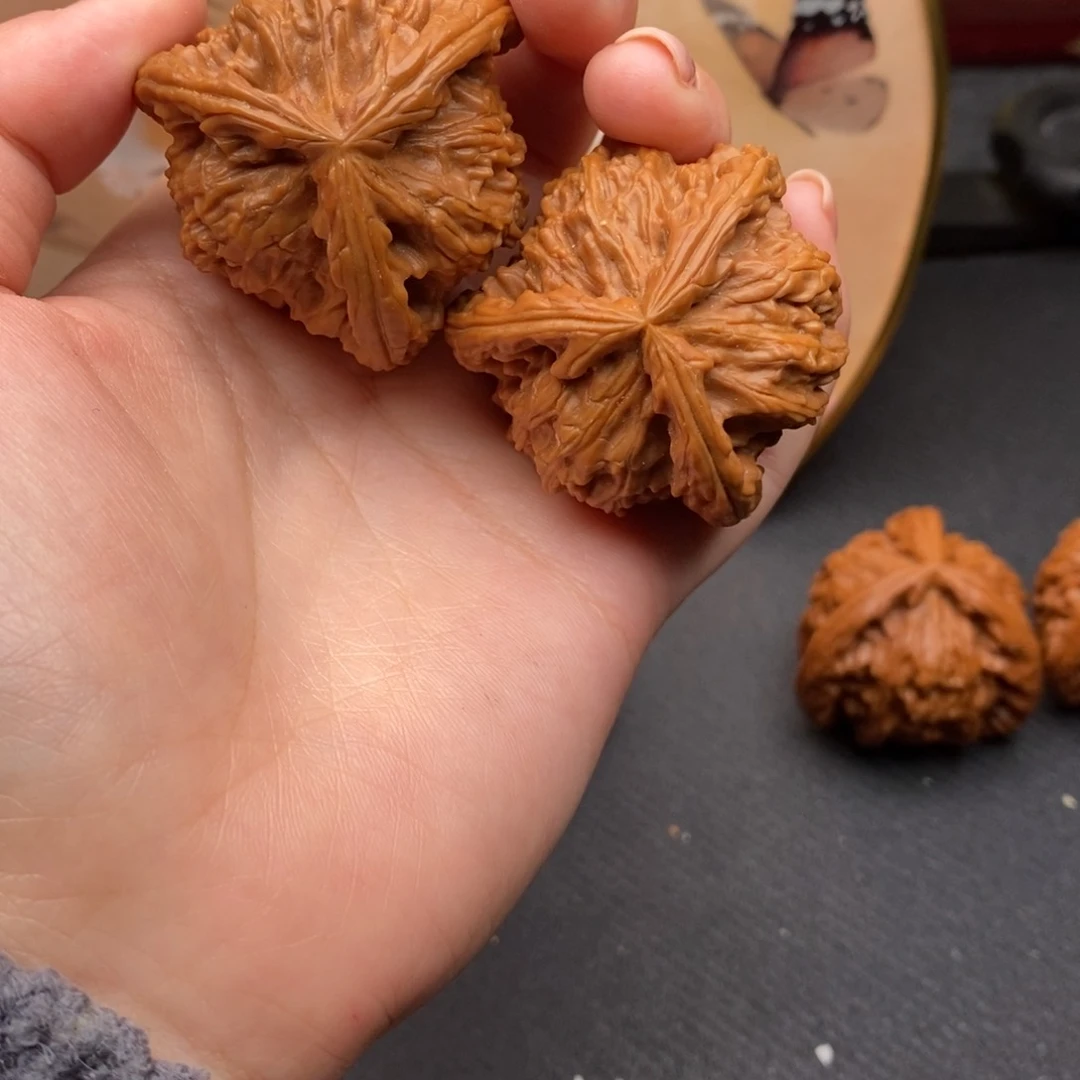 ?****?白狮子1111111111111