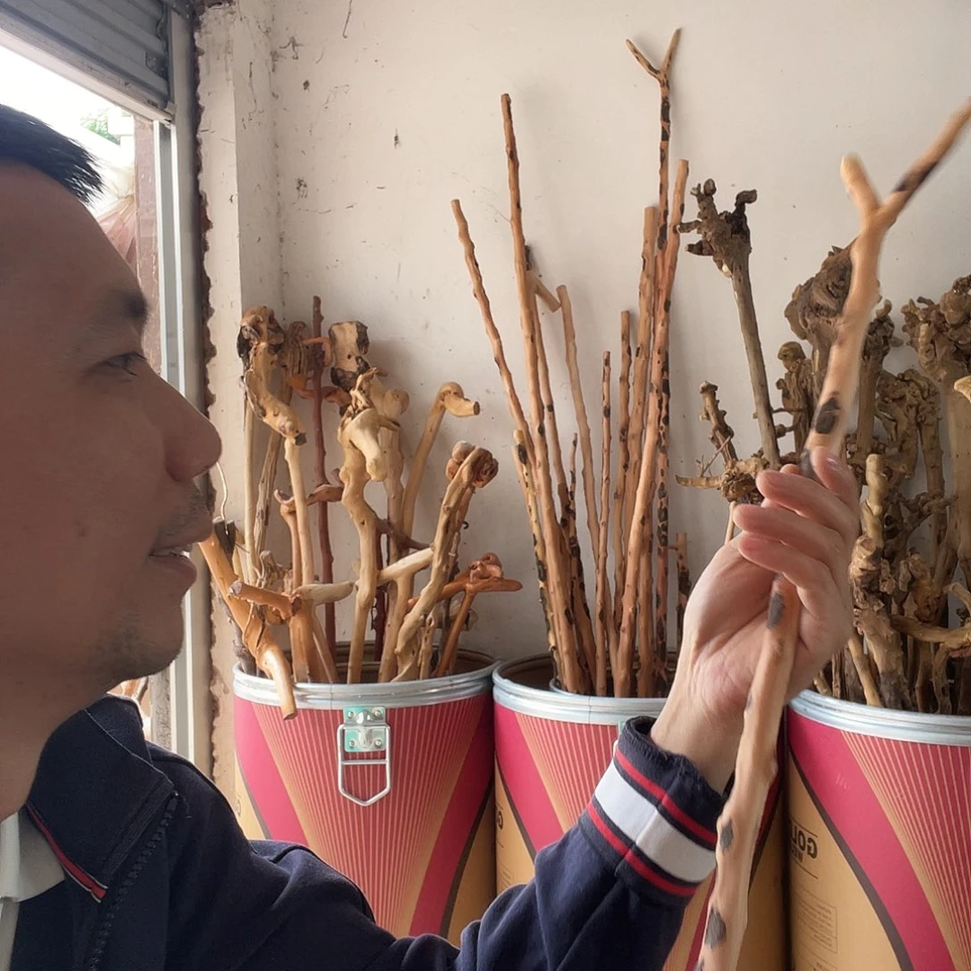 仰**啸贵州红子木衣叉把玩棍