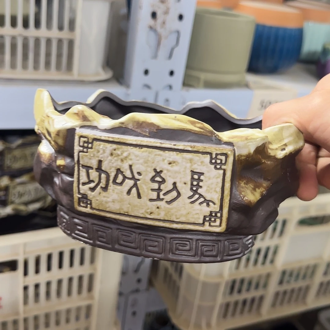 福利局绿植多肉盆［凑9元包邮24小时发］5028