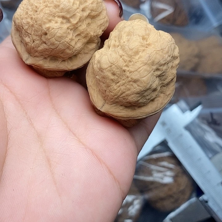 文玩核桃把件20号42mm