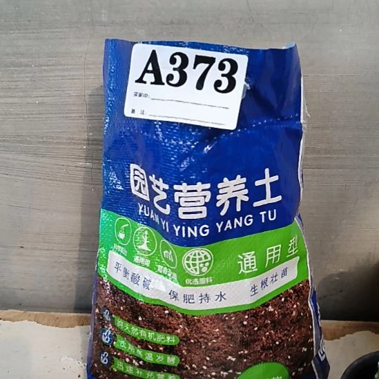 当前无花栽培后可以开花373