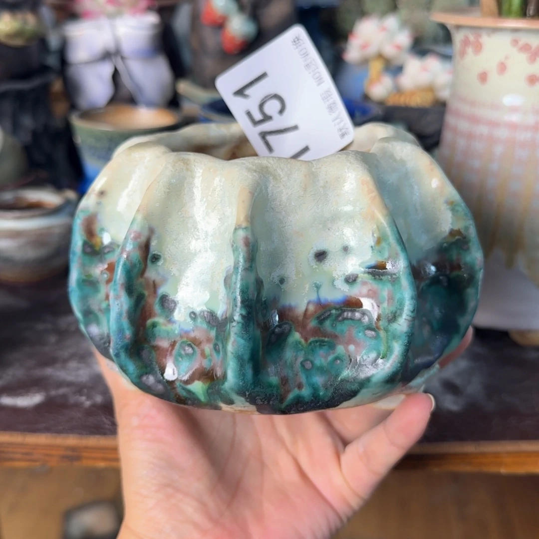 重庆小燕子欢迎大家751