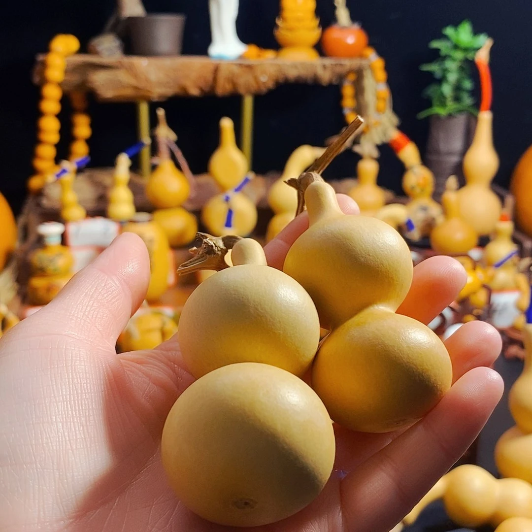 年*咕噜咕噜咕噜咕噜