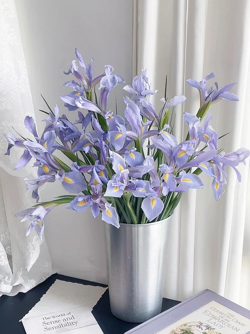 浅浅紫鸢尾花鲜切花水养