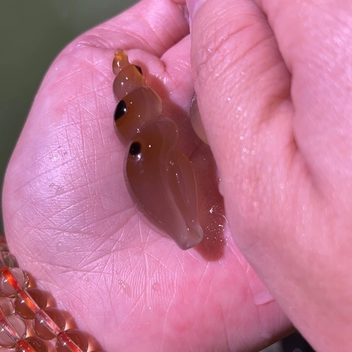 妙***如玛瑙/玉髓未镶嵌手链