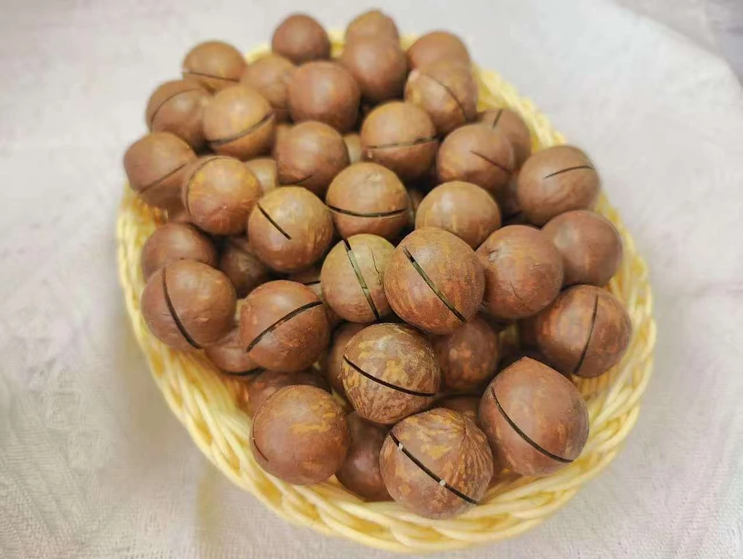 【颗颗饱满】新疆包邮发货奶油味大颗粒夏威夷果坚果孕妇可食小零食