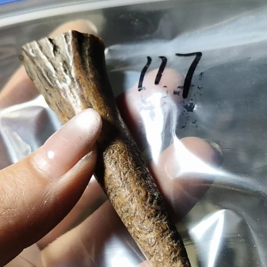 玩***木非金属无鹿角鹿角鹿角鹿角鹿角鹿角