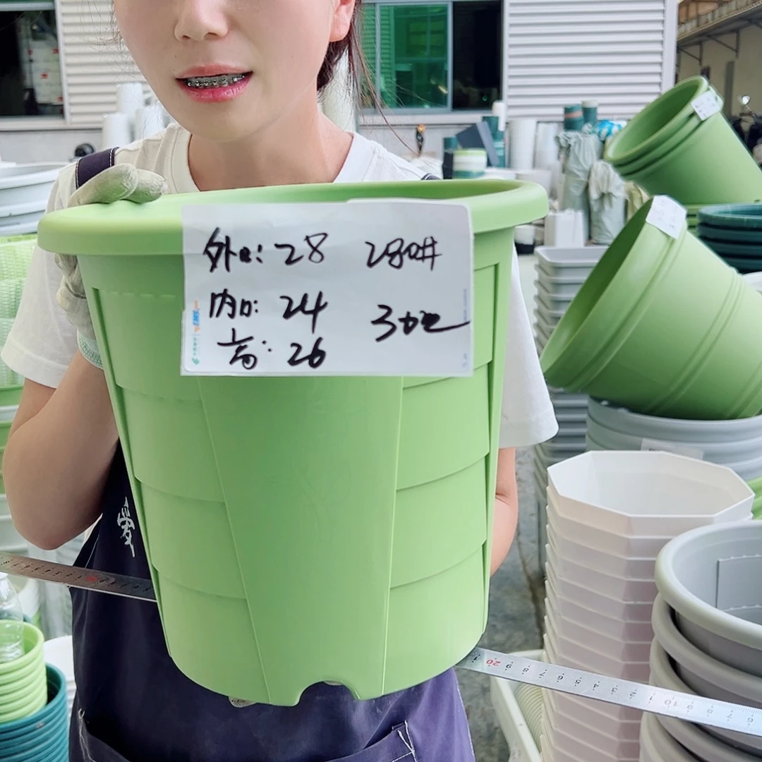 玫瑰盆280#果绿5个无托