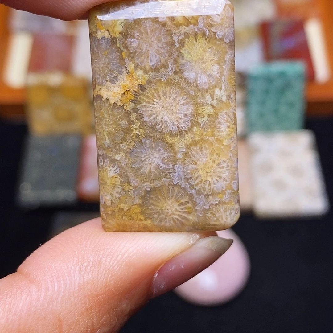 爱****硅化玉合金珊瑚玉