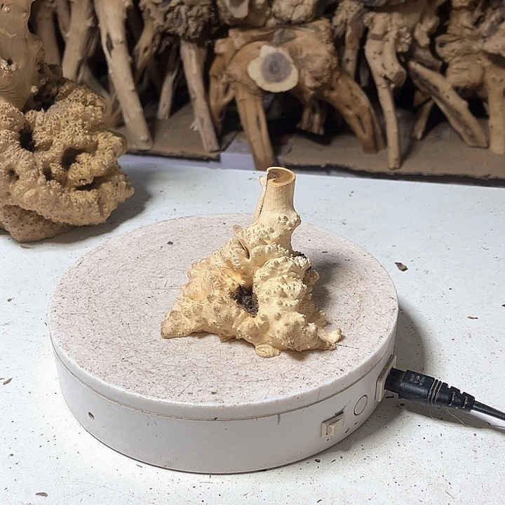 香榧木麻梨疙瘩底座