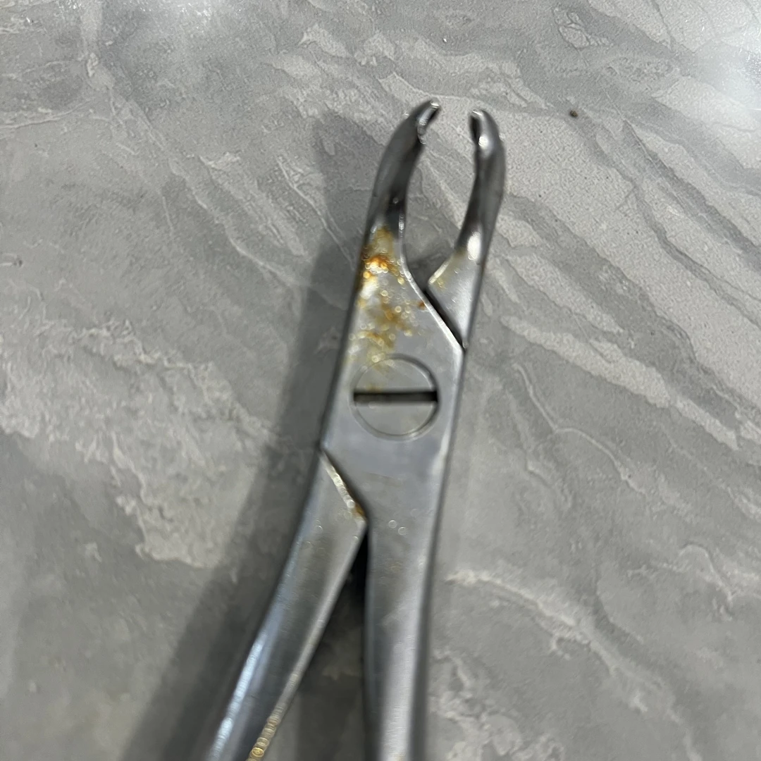 【79F-45】两边缺口小钳