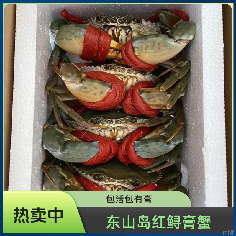 【包活】3-4两红膏蟹野生小青蟹包膏鲜活红鲟特大螃蟹红膏蟹野螃蟹