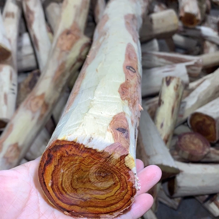 黄花梨/降香黄檀海南黄花梨