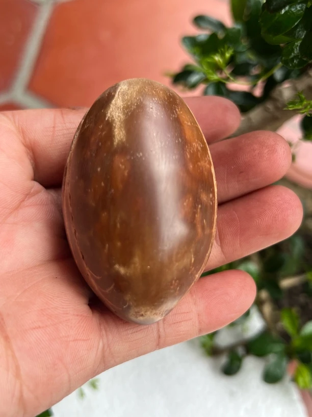 库克圆木直接抛光手把件 天然造型