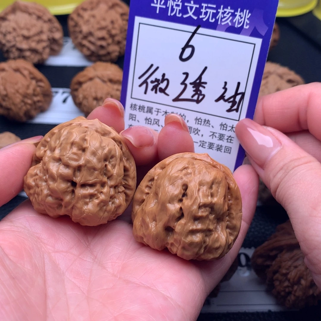 核桃蛤蟆6链接38尺福利