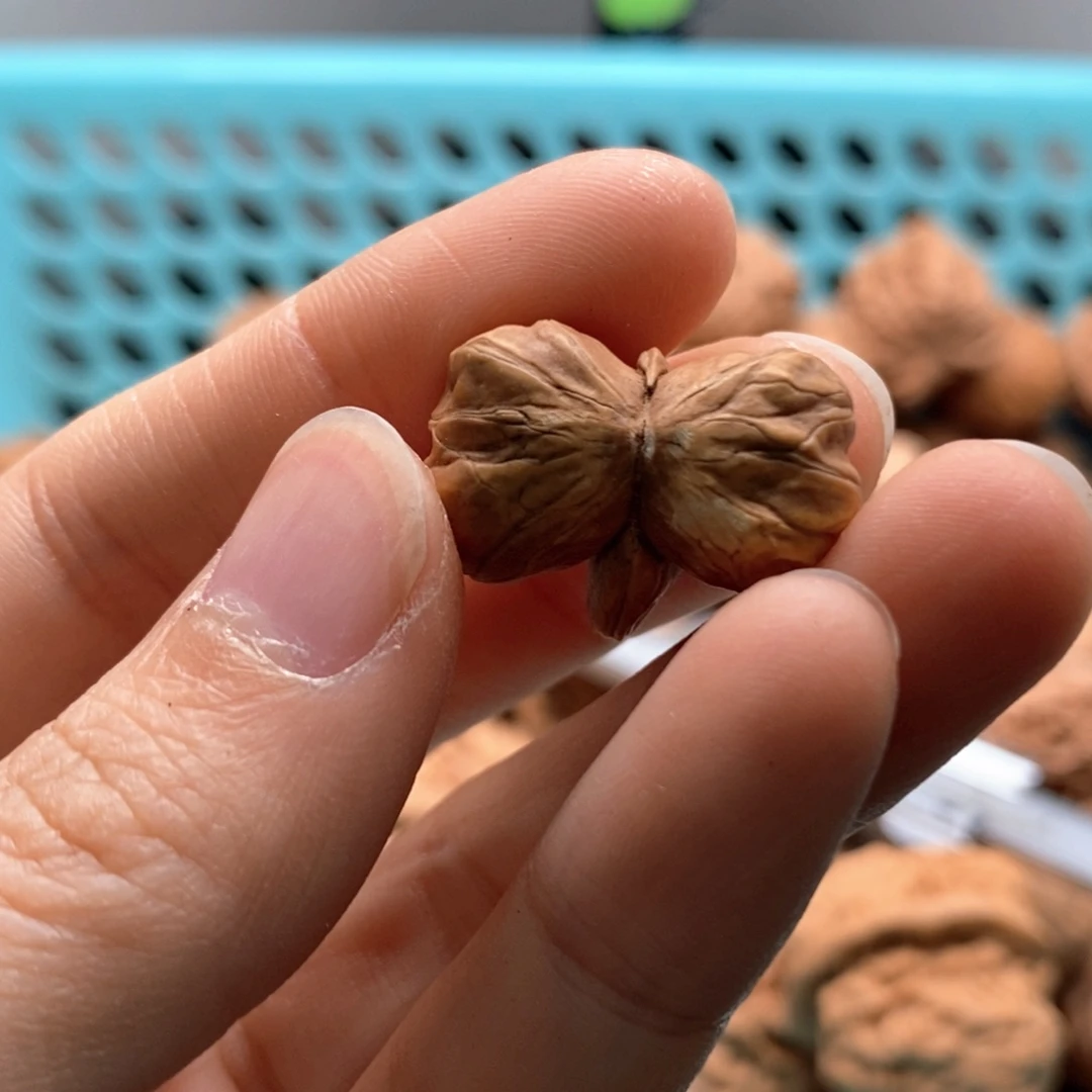 @***室核桃定制商品不退不换