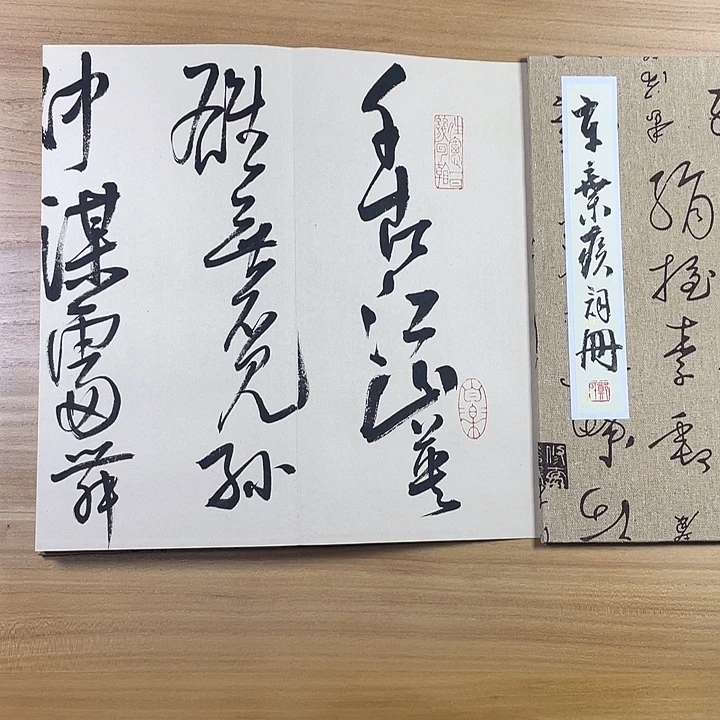 书法中书协会员作品