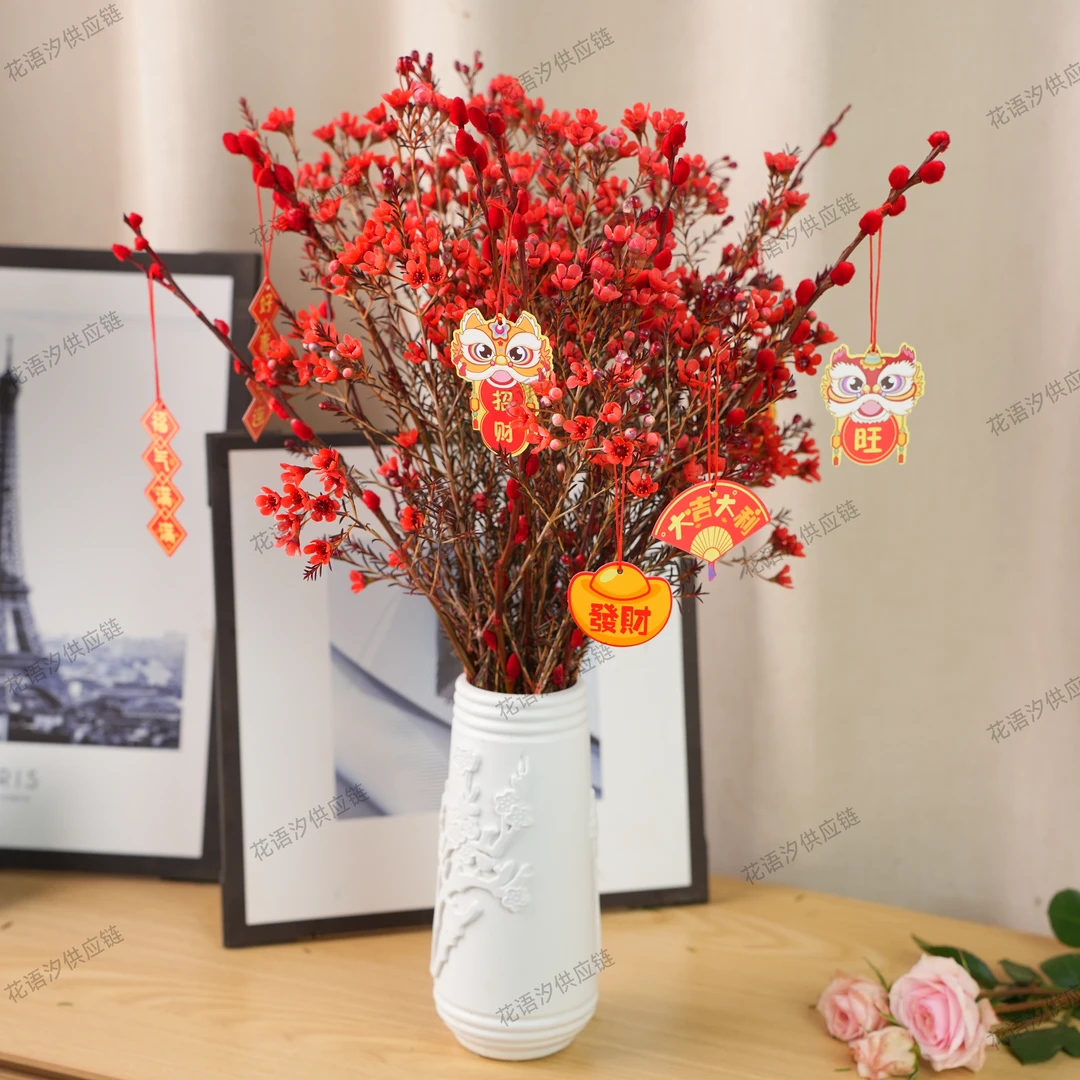 【红色-澳洲腊梅】鲜切澳洲腊梅年宵花云南送营养液家用摆件