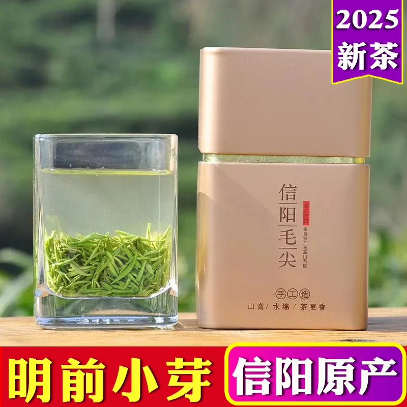 正宗信阳毛尖2025新茶特级小芽明前头采春茶云雾绿茶信阳毛尖新茶