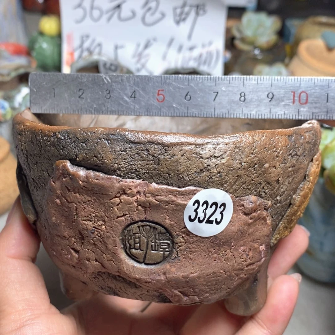 拍5送一个小礼物