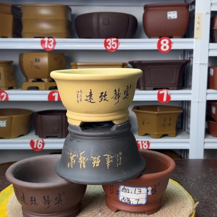 紫砂花盆你在一起