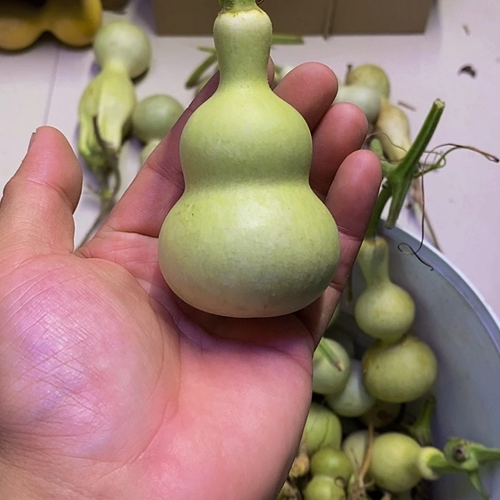 冰*哈哈哈哈哈哈哈哈哈哈